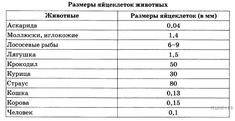 Впр–2022, Биология–7: Задания, Ответы, Решения. Обучающая Система Дмитрия  Гущина.