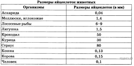 Впр–2022, Биология–7: Задания, Ответы, Решения. Обучающая Система Дмитрия  Гущина.